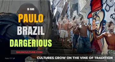 Is São Paulo Safe? Exploring Brazil's Largest City's Dangers and Realities