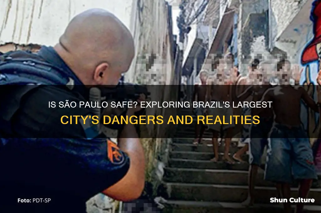 is sao paulo brazil dargerious