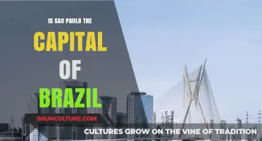 Is São Paulo Brazil's Capital? Unraveling the Common Misconception