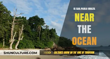 Is São Paulo, Brazil Near the Ocean? Exploring Its Coastal Proximity