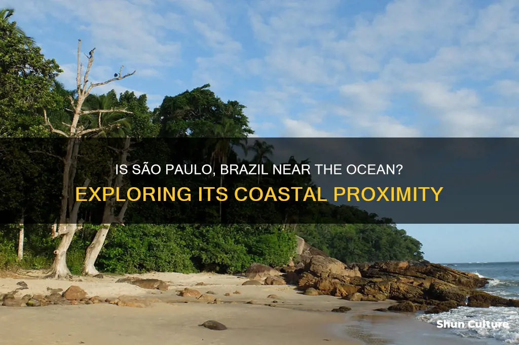 is sao.paulo brazil near the ocean