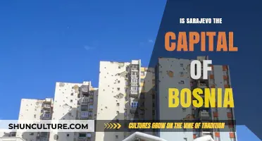 Is Sarajevo Bosnia's Capital? Unraveling the Truth About Its Status