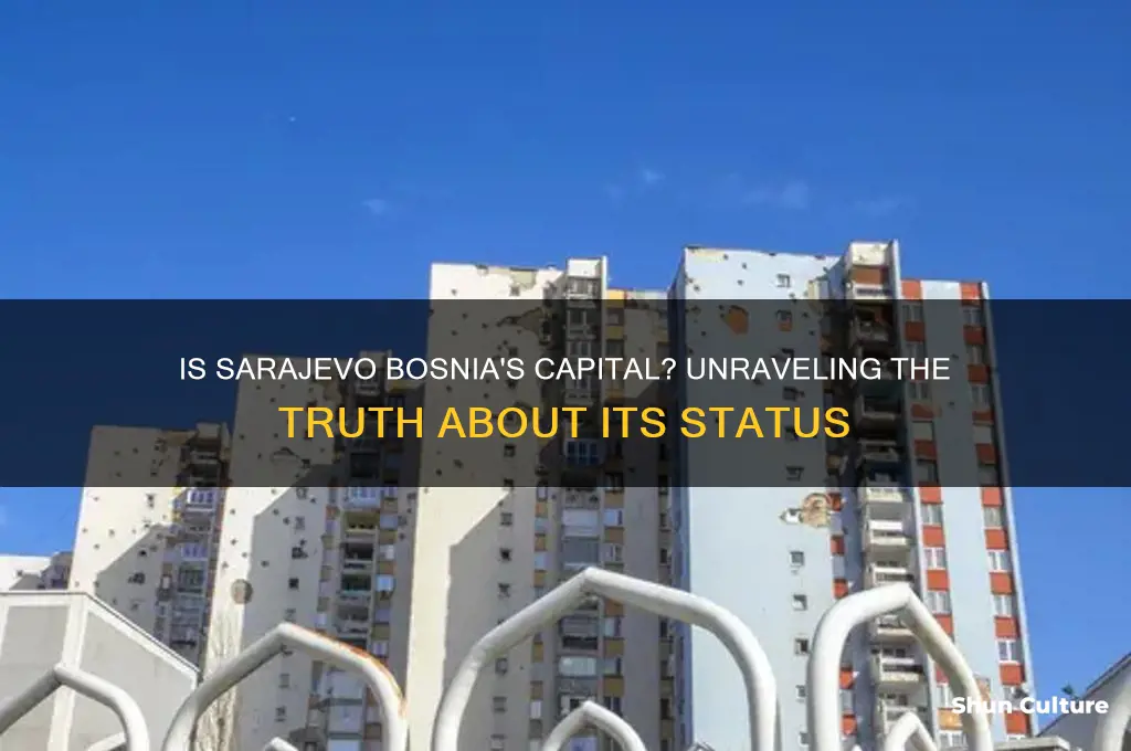 is sarajevo the capital of bosnia