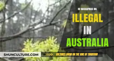 Sassafras Oil: Australia's Ban and Its Reasons