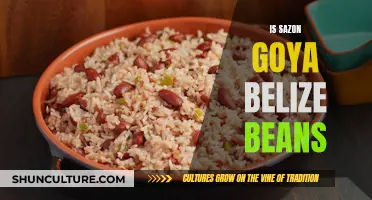 Sazón Goya: The Secret to Delicious Belizean Beans