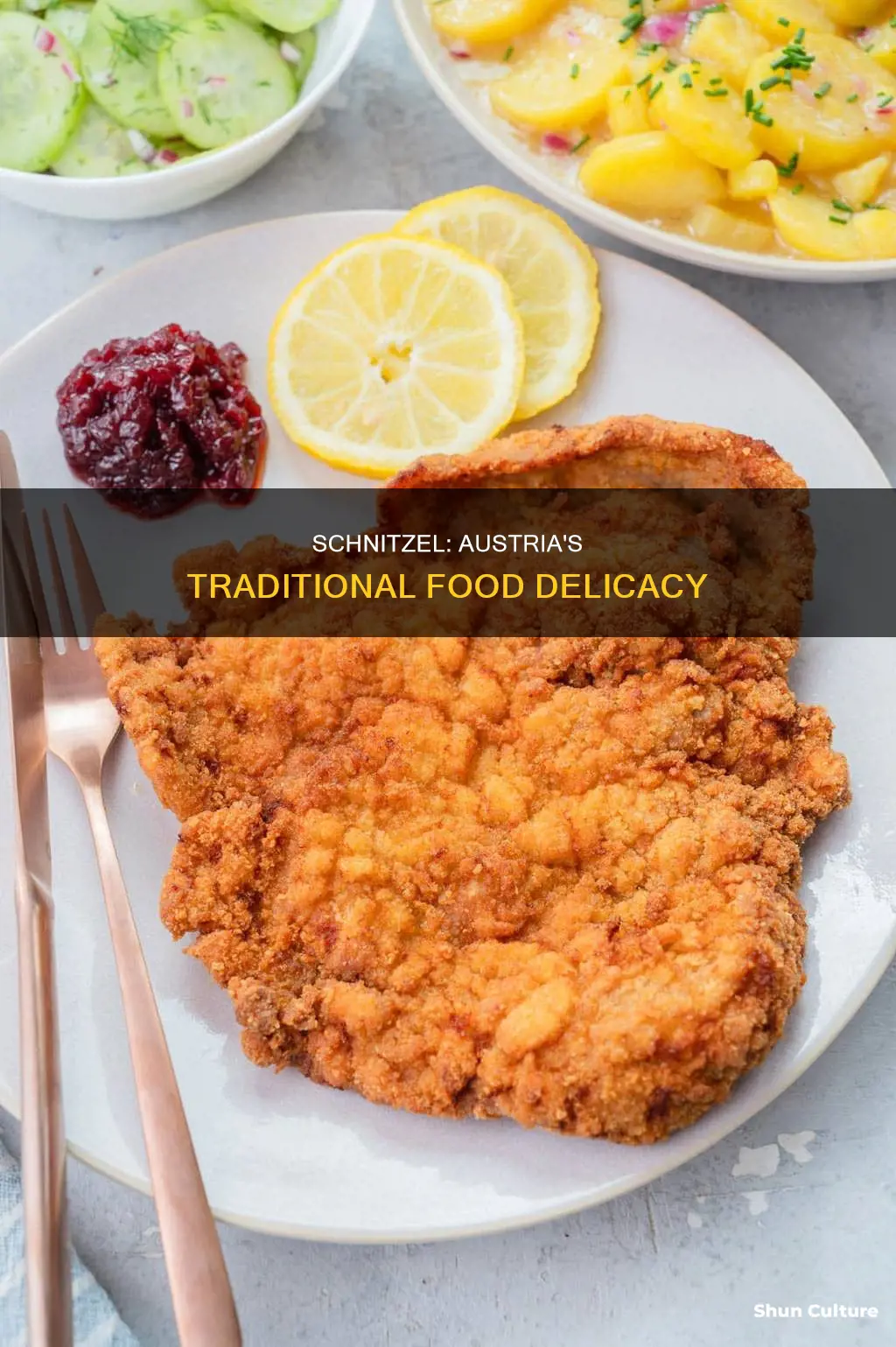 is schnitzel a traditional food in austria