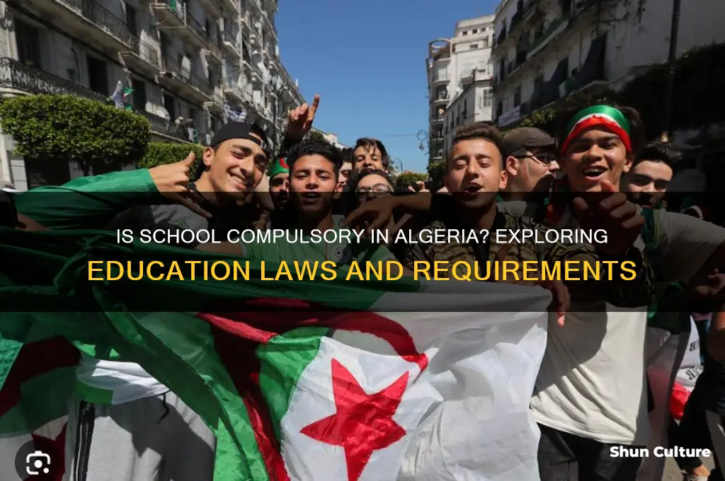 is school compulsory in algeria
