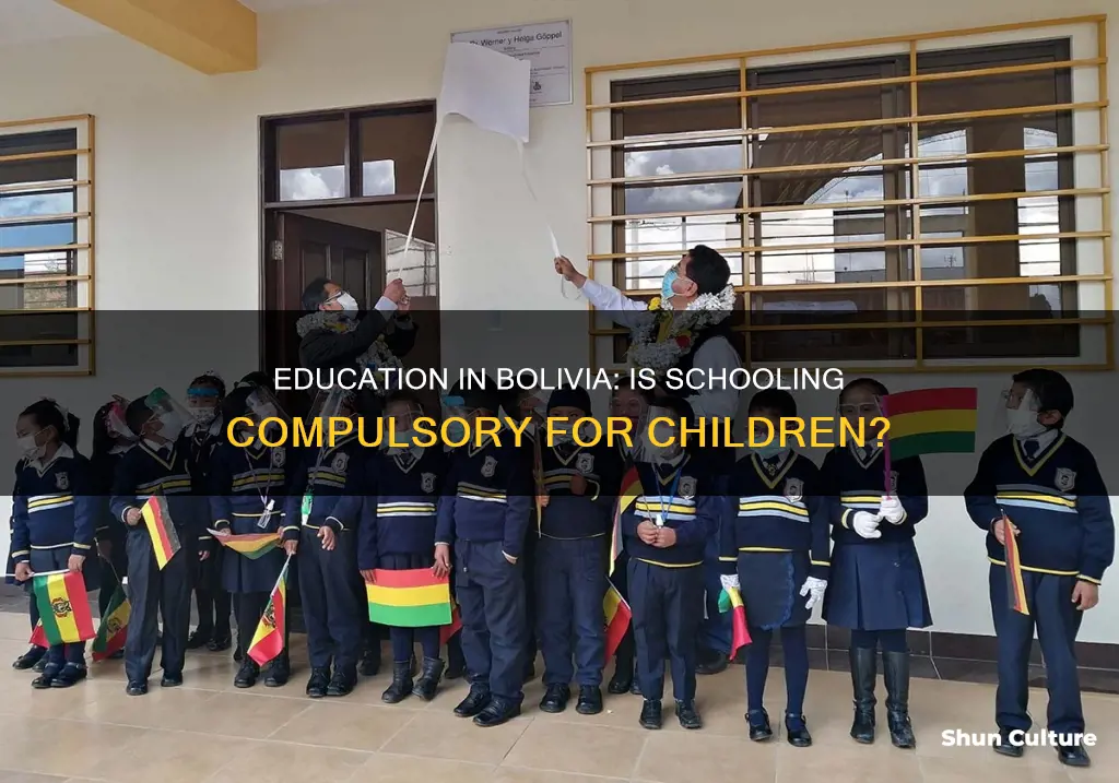 is school mandatory in bolivia