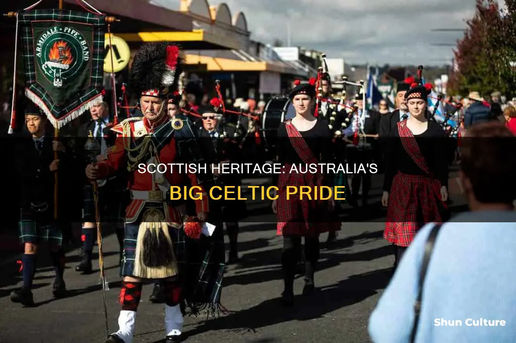 is scottish heritage big in australia