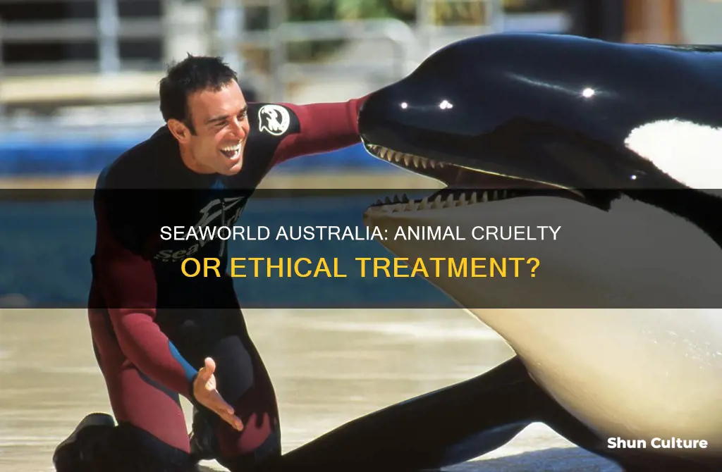 is seaworld australia cruel to animals