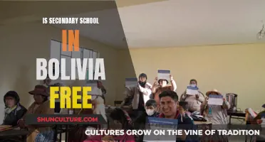 Bolivia's Secondary School Education: Free or Fee-based?