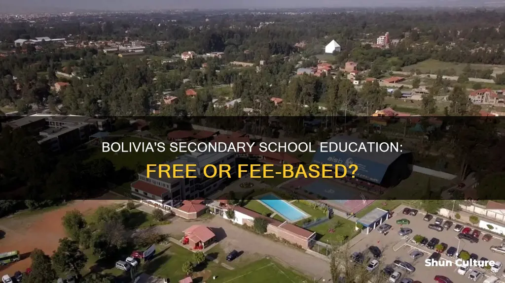 is secondary school in bolivia free