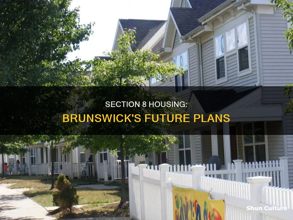 is section 8 going away in brunswick ohio