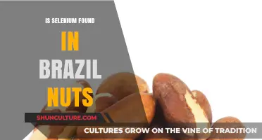 Brazil Nuts and Selenium: Uncovering the Nutritional Powerhouse Connection
