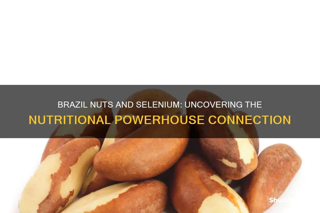 is selenium found in brazil nuts