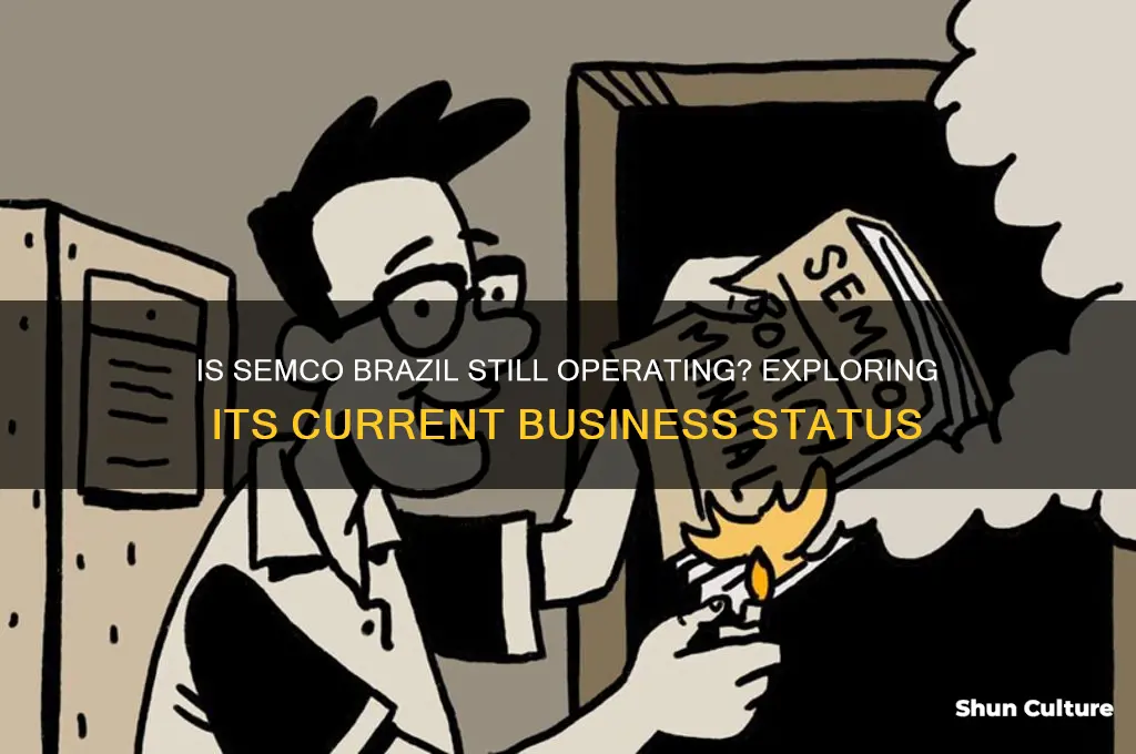 is semco brazil still in business