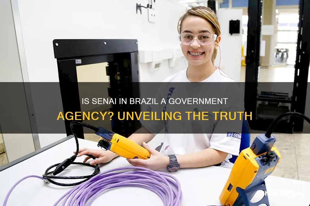 is senai in brazil a government agency