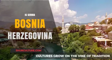 Serbia and Bosnia and Herzegovina: Understanding Their Distinct Identities and Histories