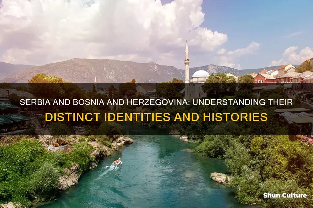 is serbia bosnia herzegovina