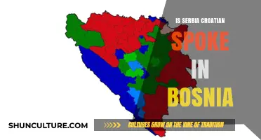 Is Serbian or Croatian Spoken in Bosnia? Language Insights Revealed