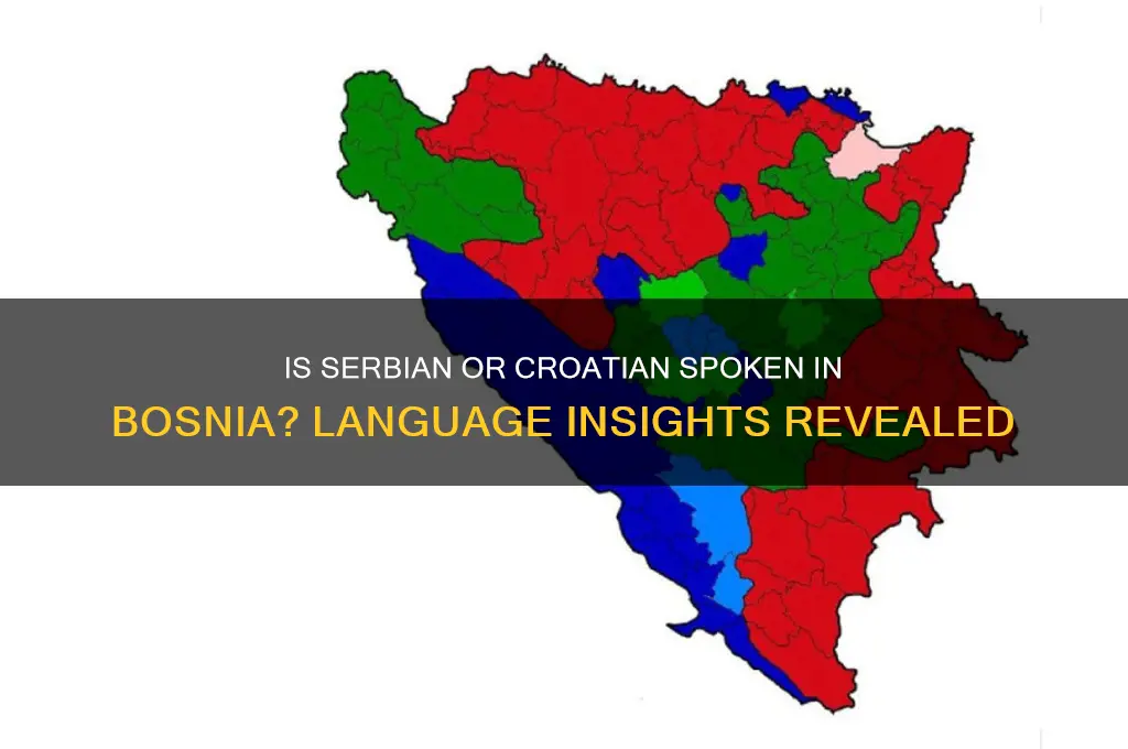 is serbia croatian spoke in bosnia