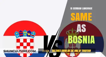 Is Serbian the Same as Bosnian? Exploring Language Similarities and Differences