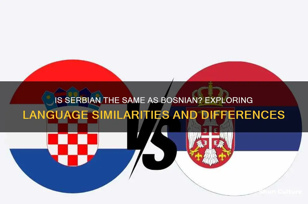 is serbian language same as bosnia