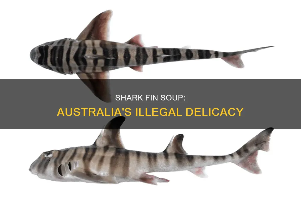 is shark fin soup illegal in australia