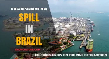 Shell's Role in Brazil's Oil Spill: Accountability and Environmental Impact