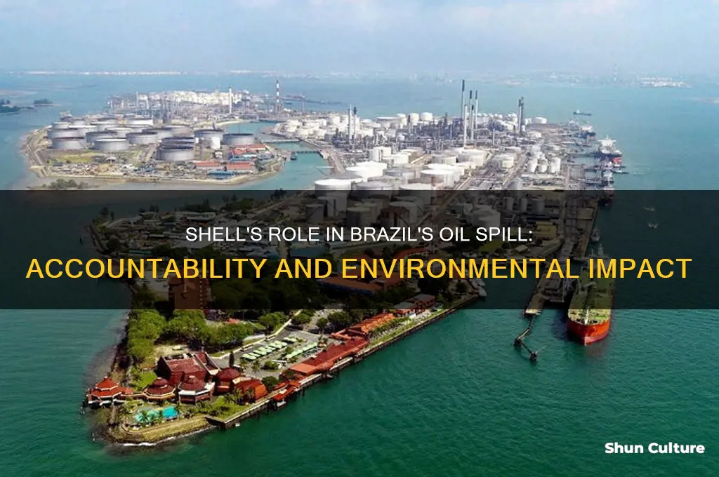 is shell responsible for the oil spill in brazil