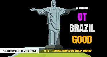 Is Shipping to Brazil a Smart Business Move? Pros and Cons