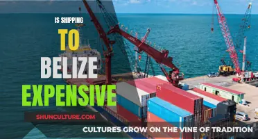 The High Cost of Shipping to Belize: What's Behind the Expense?