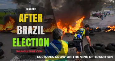 Brazil's Post-Election Silence: Unraveling the Aftermath and Its Implications