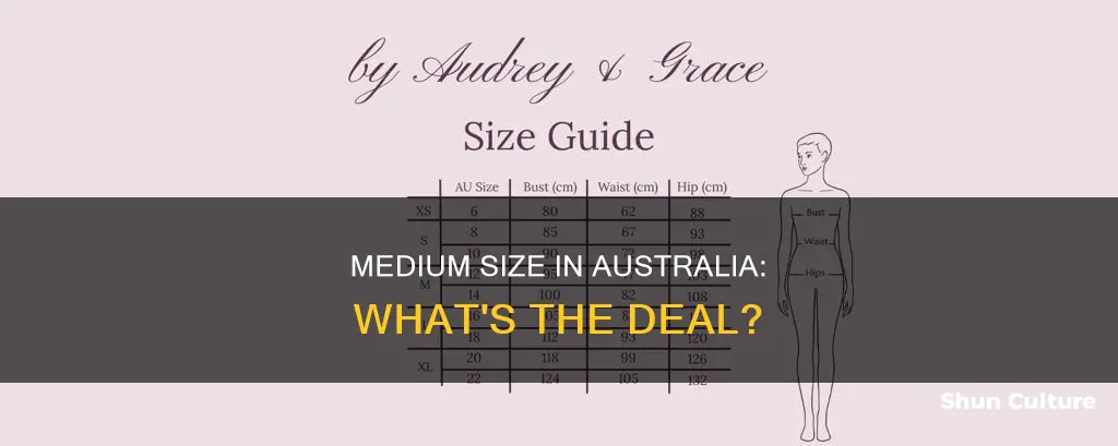 is size 12 medium australia