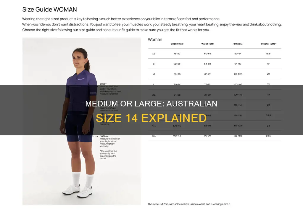 is size 14 medium or large in australia