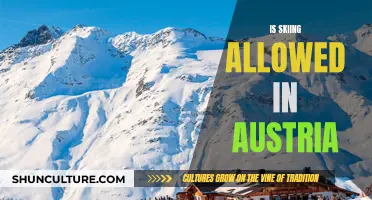 Skiing in Austria: What's the Law?