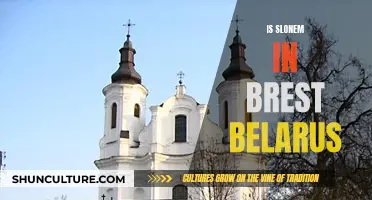 Exploring Slonem: Brest, Belarus' Historic Jewish Quarter