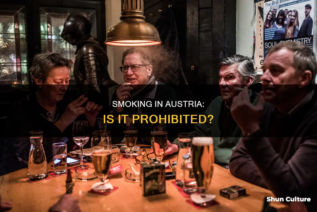 is smoking prohibited in austria