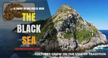 Snake Island Brazil: Its Location Near the Black Sea Explained