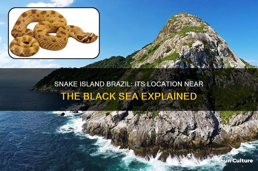 is snake island brazil near the black sea