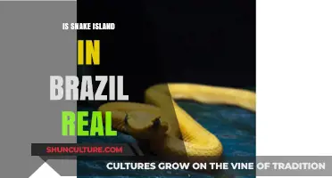 Snake Island Brazil: Unveiling the Truth Behind the Venomous Legend