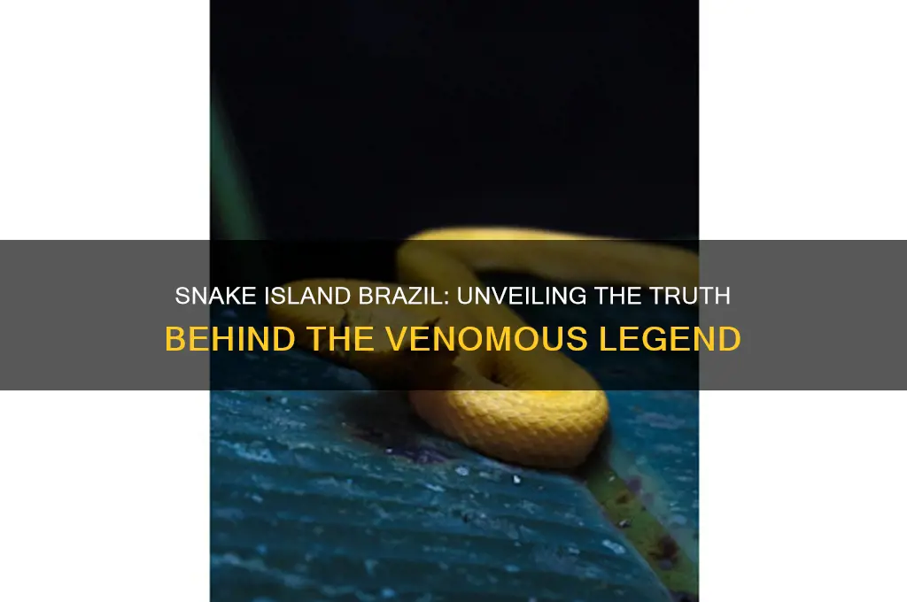 is snake island in brazil real