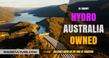 Who Owns Snowy Hydro?