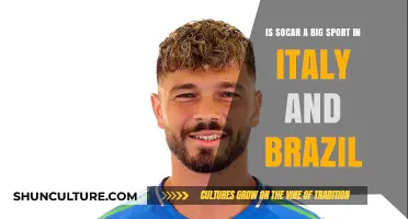 Exploring Soccar's Popularity in Italy and Brazil: A Comparative Analysis