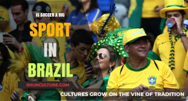 Is Soccer Brazil's Heartbeat? Exploring Its Cultural and Sporting Impact