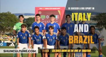 Soccer Passion: Italy and Brazil's Love for the Beautiful Game