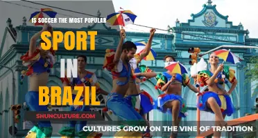 Is Soccer Brazil's Undisputed King of Sports? Exploring Its Popularity