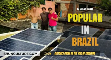 Brazil's Solar Power Boom: Popularity and Growth Trends Explained