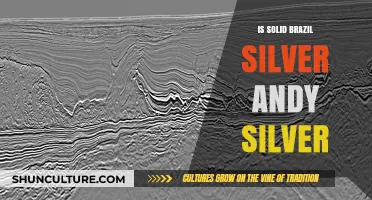 Is Solid Brazil Silver the Same as Andy Silver? Unveiling the Truth