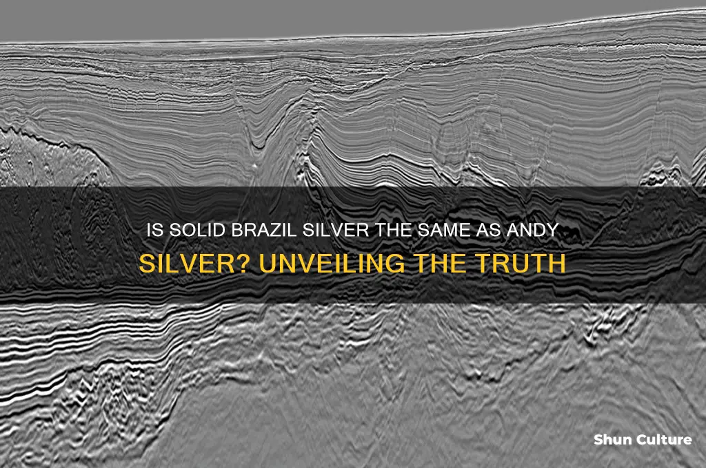 is solid brazil silver andy silver